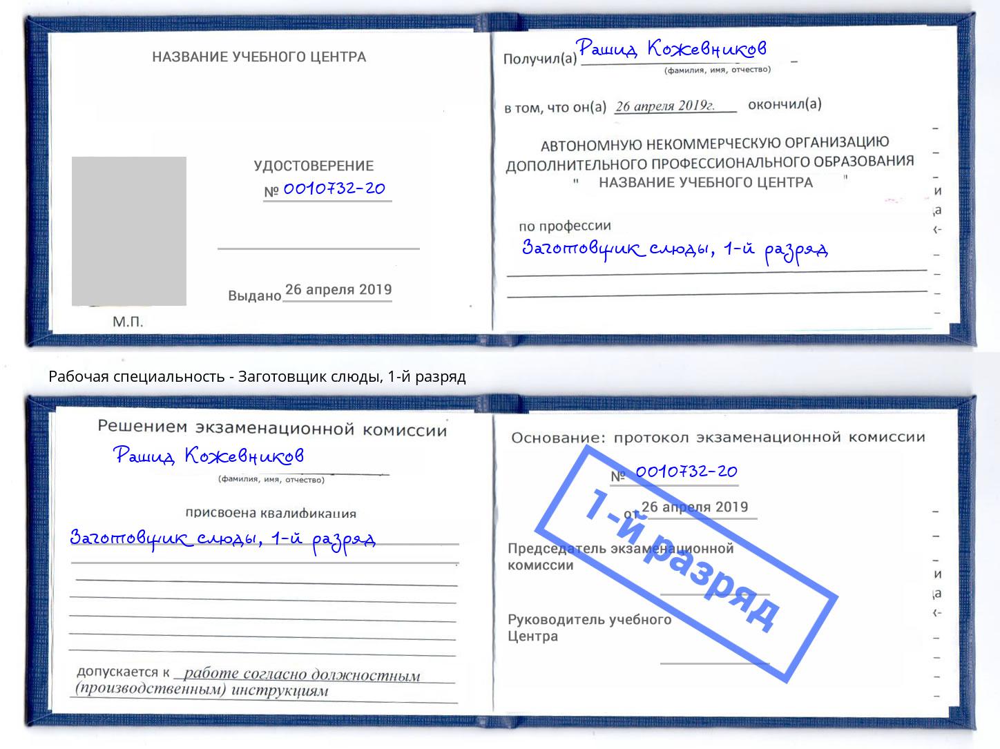 корочка 1-й разряд Заготовщик слюды Артёмовский